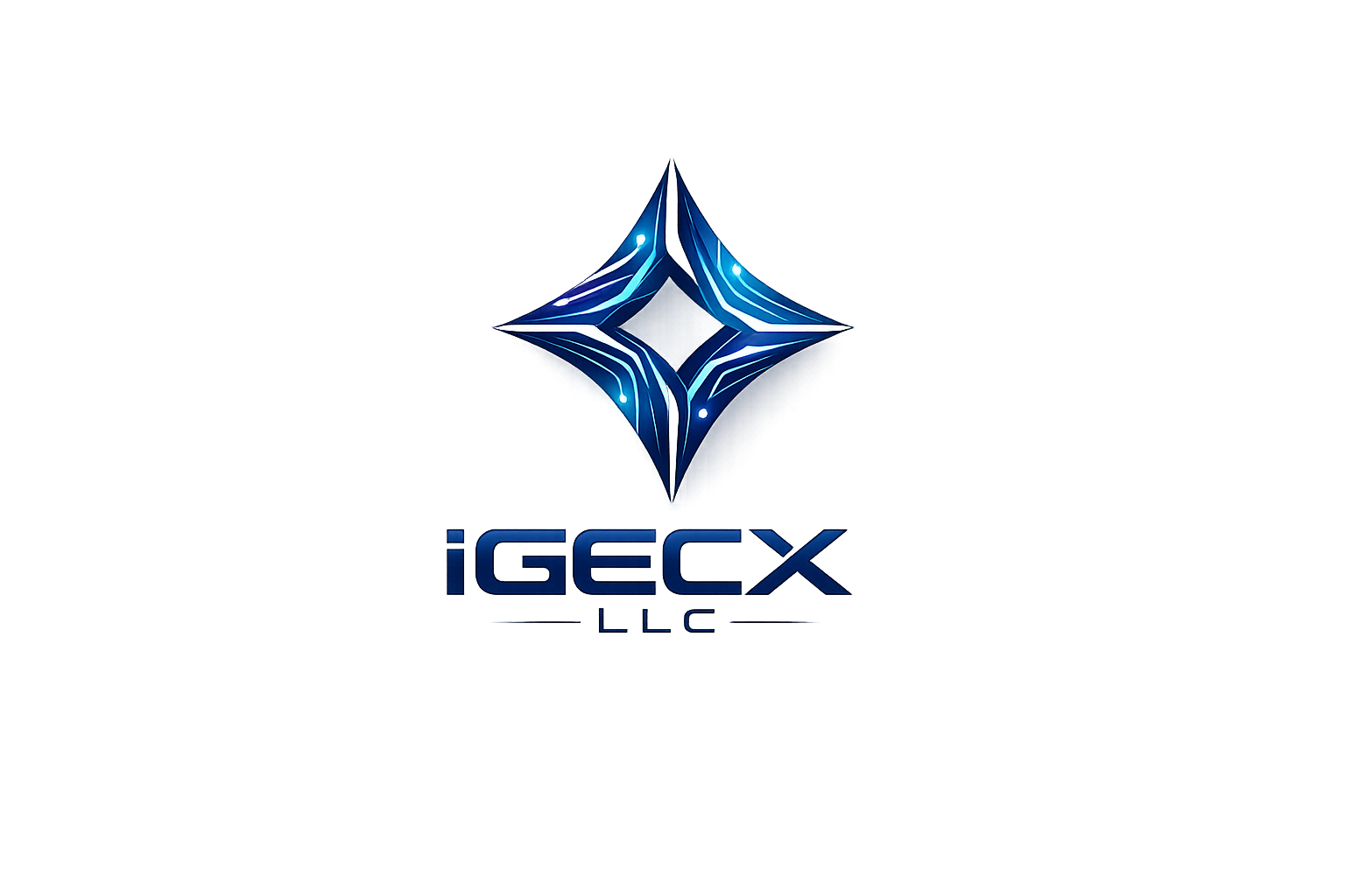 IGECX LLC — création de sites internet